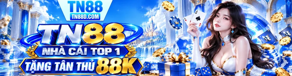 Banner TN88